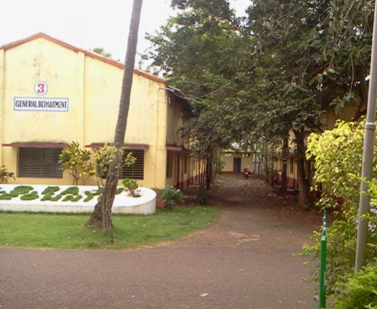 Nursery Image